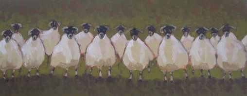 Sheep Haka